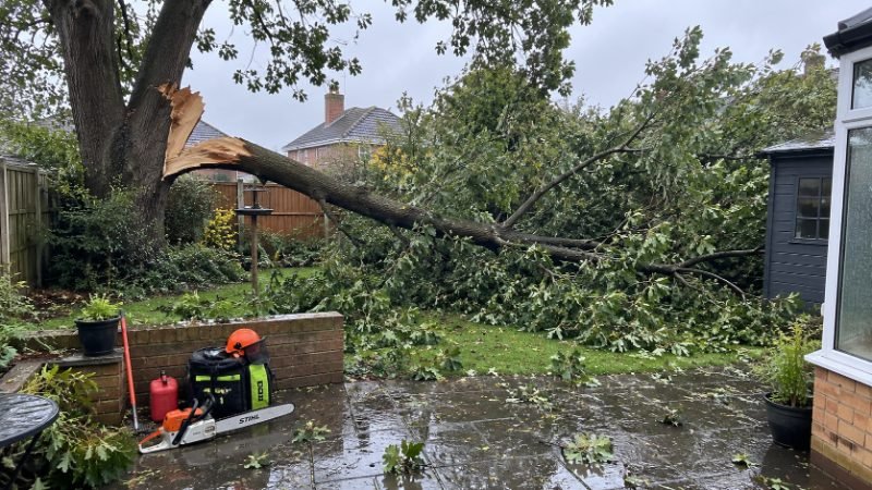 Emergency Tree Services project — Doncaster, South Yorkshire