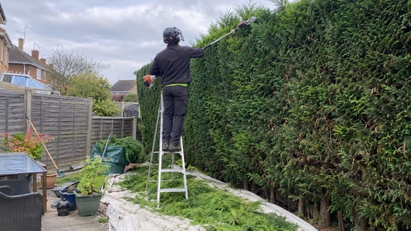 tree surgeon materials and craftsmanship in Doncaster