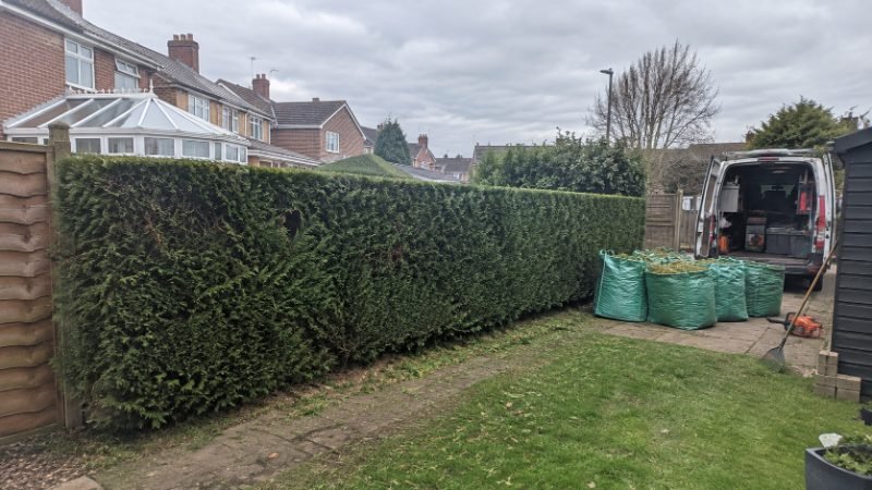 Hedge Trimming in Doncaster
