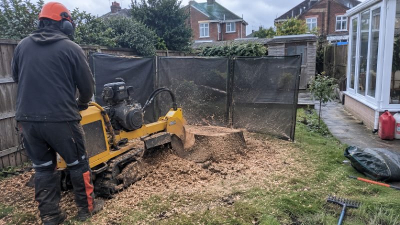Stump Grinding services in Doncaster, South Yorkshire