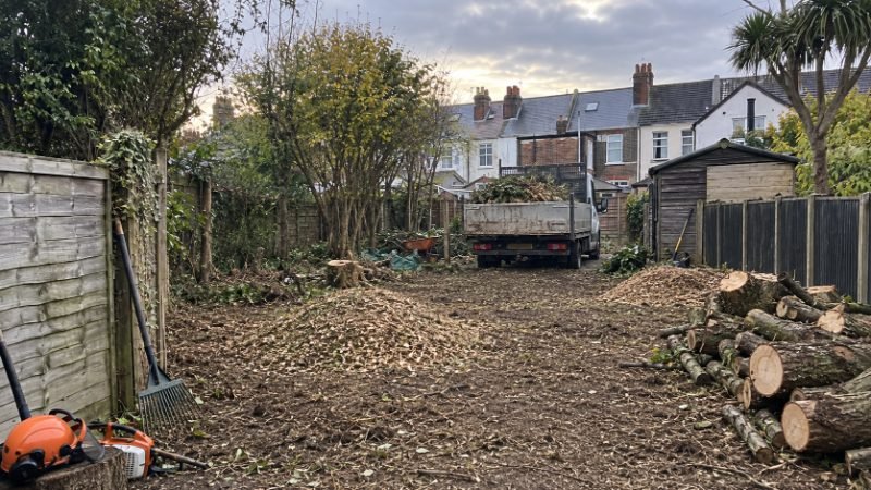 Tree Felling in Doncaster