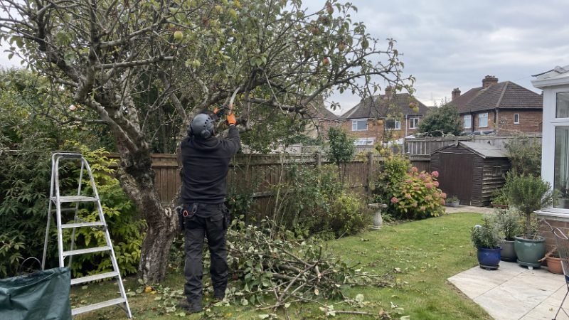 Tree Pruning services in Doncaster, South Yorkshire