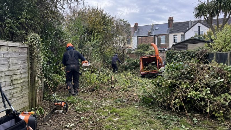 Tree Removal in Doncaster