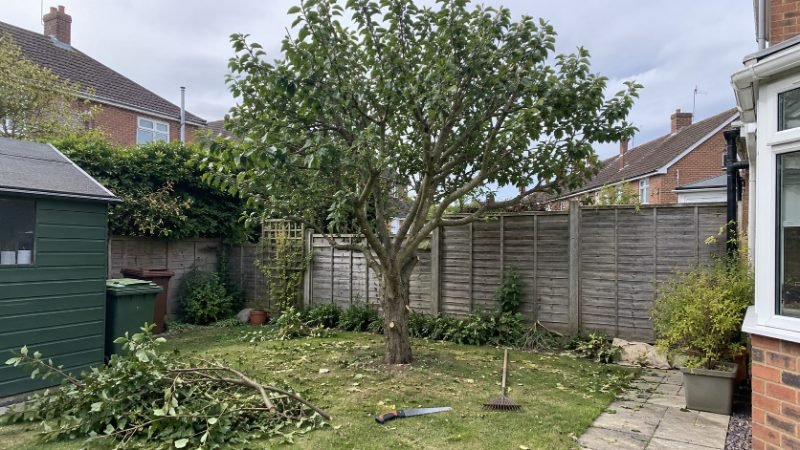 Tree Surveys in Doncaster