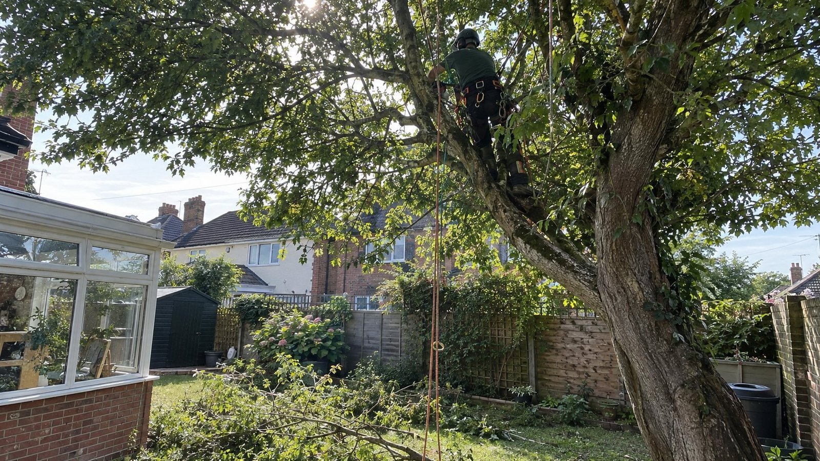 tree surgeon in Doncaster, South Yorkshire